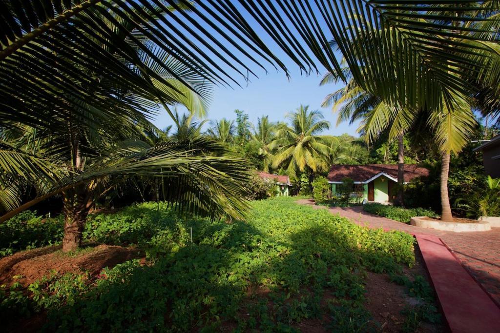 Dunhill Beach Resort Agonda Luaran gambar